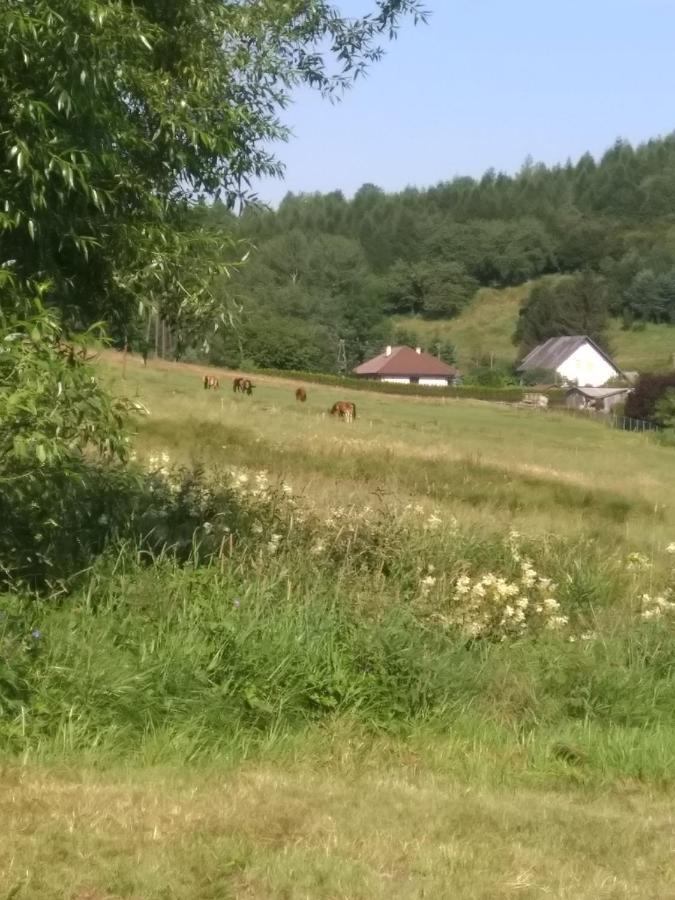 Altana Caloroczna Vira Numer 7 Herbergerowka Agroturystyka Na Wsi Duszniki Zdrój Exterior foto