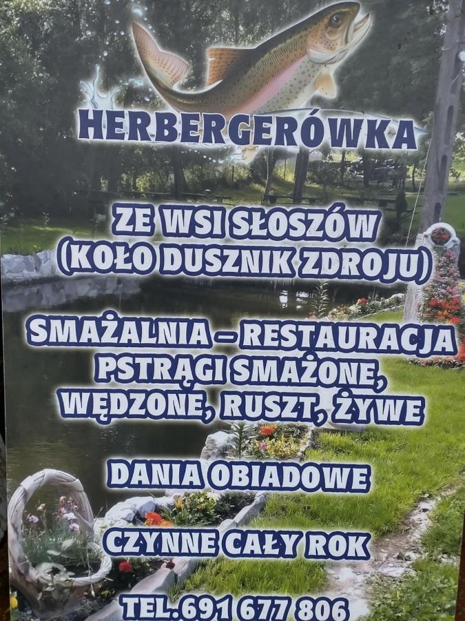 Altana Caloroczna Vira Numer 7 Herbergerowka Agroturystyka Na Wsi Duszniki Zdrój Exterior foto